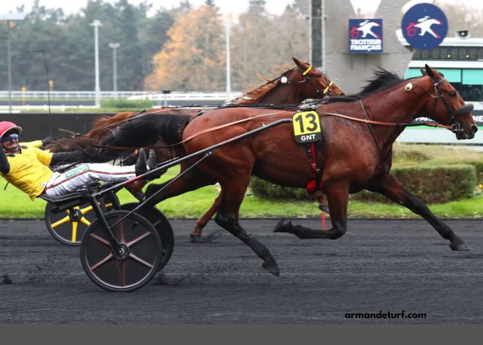 Gain Ecd Du Jour