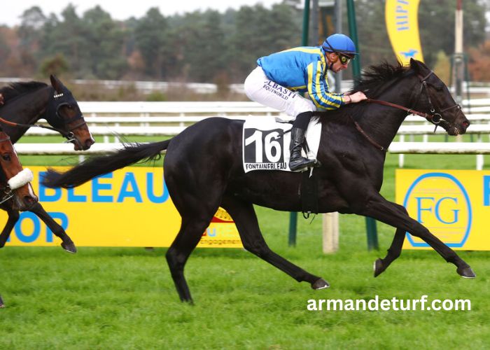 Center Gagnant Pmu