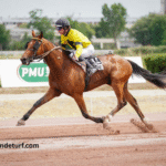 Formule Sur Pmu