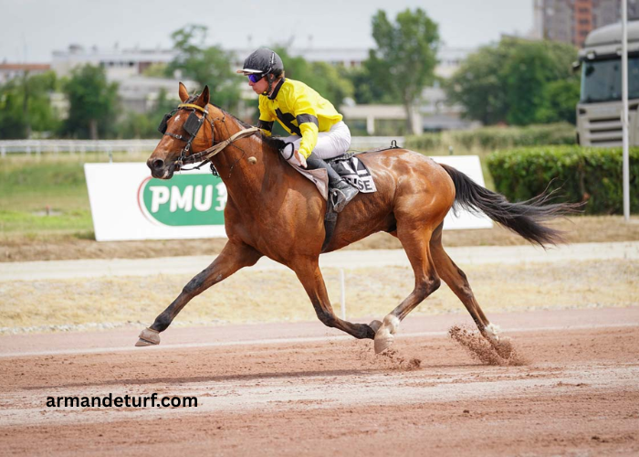 Formule Sur Pmu